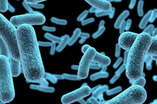 Extrait de ferment d’Alteromonas: L'actif marin innovant pour l’hydratation, la protection et l’effet anti-âge de la peau