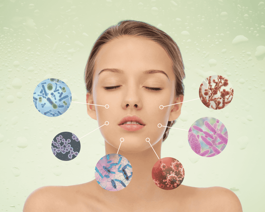 Le Microbiome Cutané : Pourquoi cet Écosystème Invisible est la Clé d’une Peau Saine