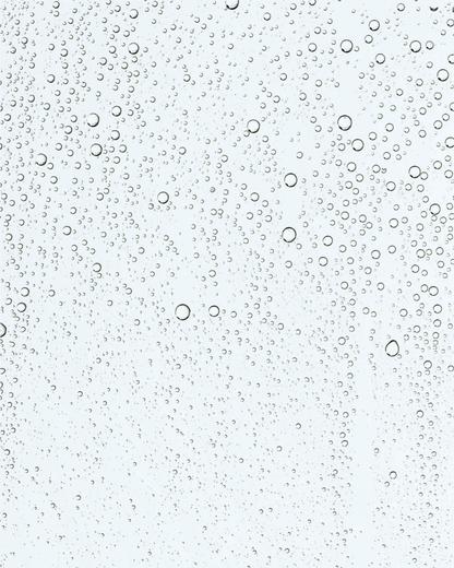 Texture de brume bioactive aux prébiotiques