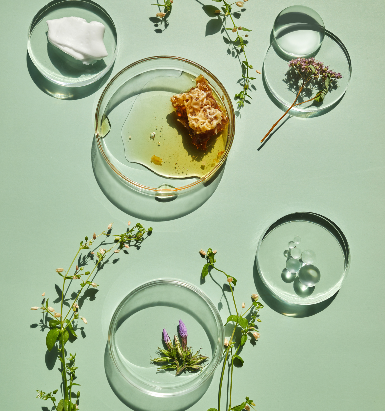 Ingrédients naturels 